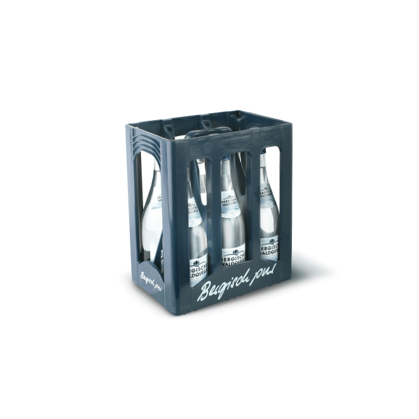 Bild von Berg.waldquelle Natur 6x1l Mw